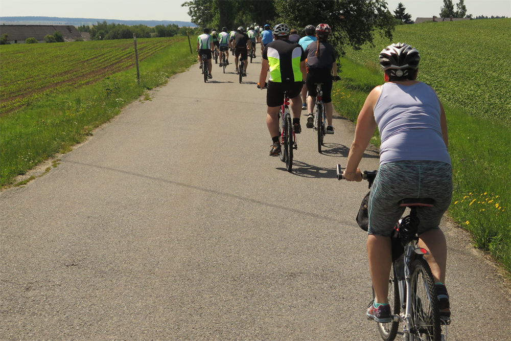 Peloton zachycený kousek od Jihlavy.