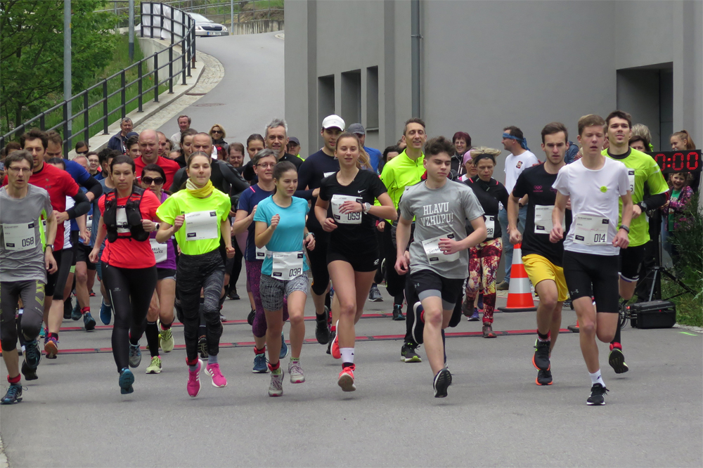 Start běhu na 5 a 10 km.